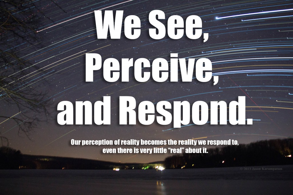 See, Perceive, Respond